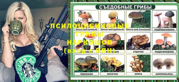 трава Арсеньев