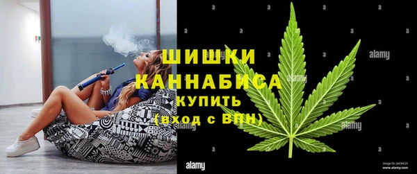 дживик Аркадак