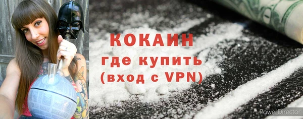 трава Арсеньев