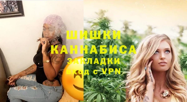 трава Арсеньев