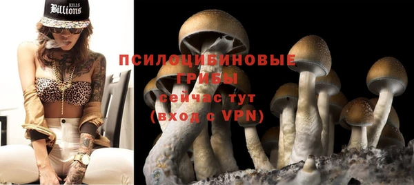 трава Арсеньев
